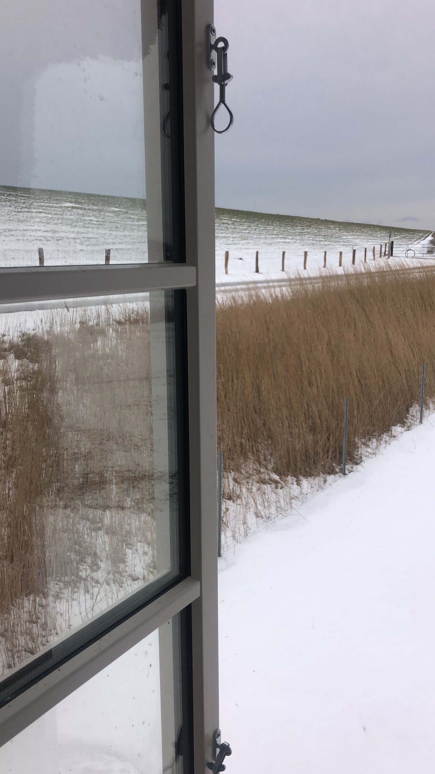 Bei aktuell minus 3 Grad Celsius und 75 km/h Wind aus östlicher Richtung, ein kleiner Blick aus meinem Pellwormer Studiofenster, das, dem Himmel sei Dank, nach Nordwesten zeigt und somit im Windschatten des Hauses liegt.